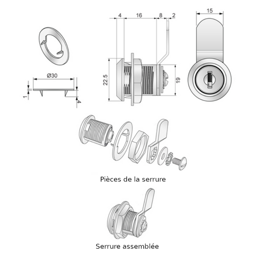 Serrure de boîte aux lettres avec plaque à came à dos courbé, 19x16 mm, chrome