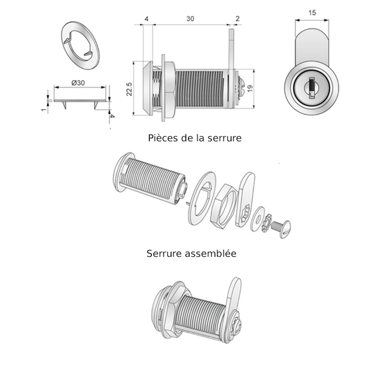 Verrou de boîte aux lettres avec plaque à came droite 19x30mm, chrome