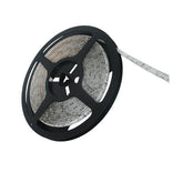 Ruban LED auto-adhésif, 5M, IP54, LED300, SMD3528
