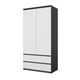 JOELLE - Armoire 2 Portes avec 2 Tiroirs - Anthracite / Blanc Matt H180cm L90cm P50cm