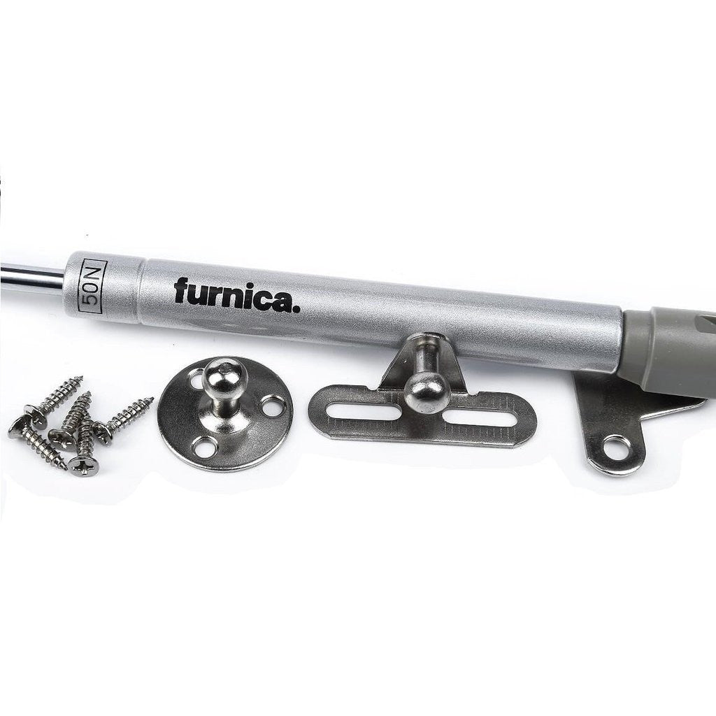 Verin de porte à gaz 250mm - 50N