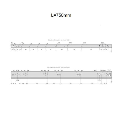 Ensemble de glissières à roulement à billes (gauche et droite), H53 NTP 