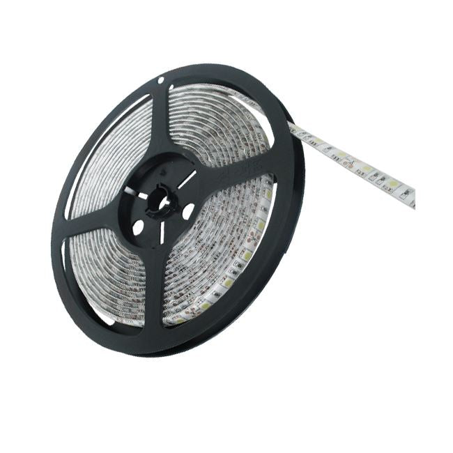 Ruban LED auto-adhésif, 5M, IP54, LED300, SMD3528 NTP Blanc froid 