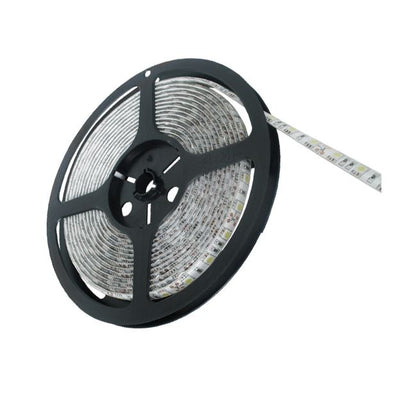 Ruban LED auto-adhésif, 5M, IP54, LED300, SMD3528 NTP Blanc froid 